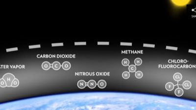 Effects of Global Warming